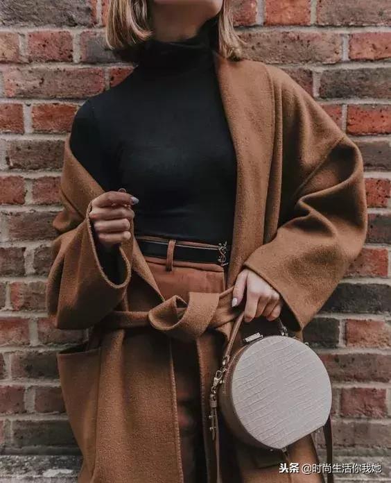 颜色可以是百搭的浅驼色（永不褪色的优雅）(11)