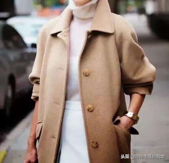 颜色可以是百搭的浅驼色（永不褪色的优雅）(3)