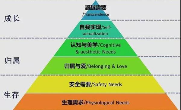 薇娅罚了13亿背后，是2.4亿单身成瘾的年轻人11