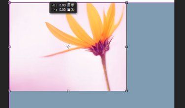 朋友圈宣传海报尺寸,微信手机海报为什么可以做两个尺寸640和080呢图4