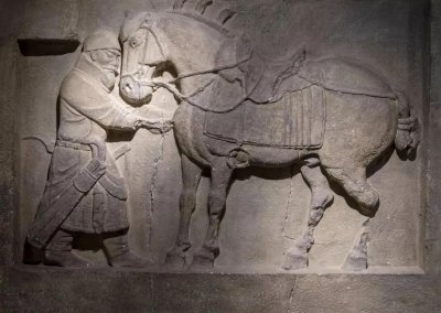 ​五花马贵重的原因及其品种