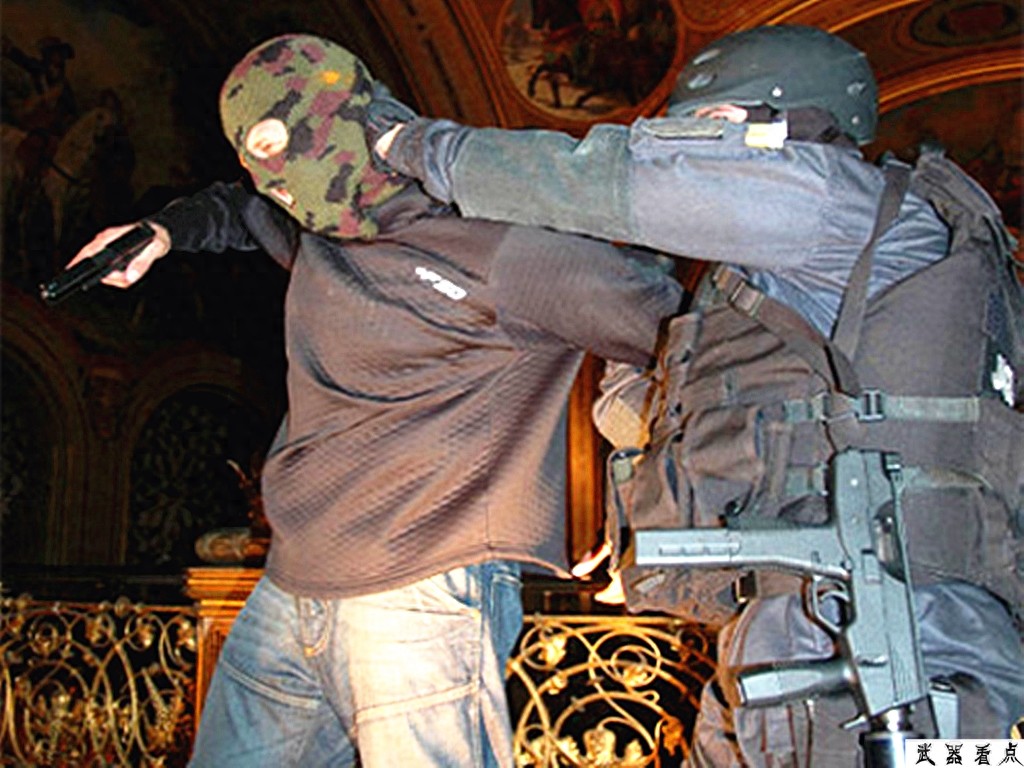 奥地利斯太尔TMP冲锋枪，结构不同于传统的冲锋枪